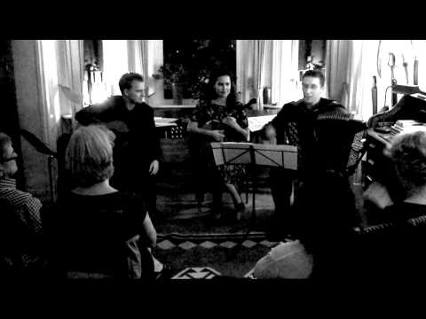 Semyonov: Bulgarian Suite (ACCORDION, Guitar & Domra) - FOLK ACCORDEON Семенов Kurylenko баян