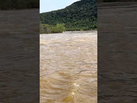 CHEIA NO RIO JACUÍ #shorts #riojacuí #donafrancisca