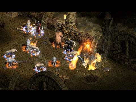 Project Diablo 2: Season 11 Day 10 Fire Druid 163 FCR Endgame Gear Showcase | T3 Map Ruined Cistern
