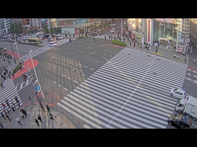 【LIVE】2024 Tokyo Shinjuku 新宿 大ガード交差点 Live Ch 【LIVE】2024 Tokyo Shinjuku 新宿 大ガード交差点 Live Ch