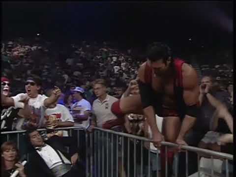Sting and Lex Luger vs Scott HALL and Kevin Nash Battle