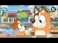 Bingo's Grappen | Bluey | Disney Channel NL