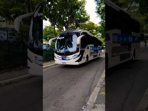 Viação Danúbio Azul - São Paulo x Descalvado #viagem