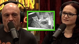 JRE 400 - A Man Kept a 400lb Tiger in His Harlem Apartment