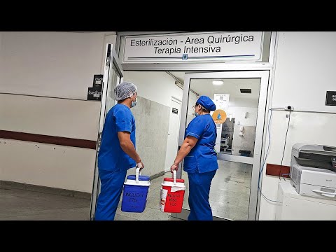 En Salta se realizan trasplantes de córneas, riñón y médula ósea