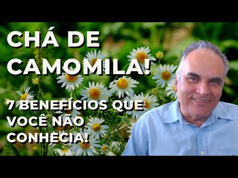 Chá de camomila! 7 benefícios desta planta fantástica que você nao conhecia!