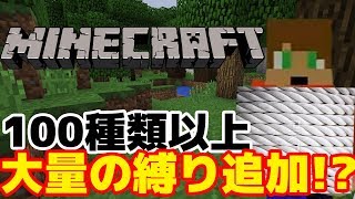 【Minecraft】最高峰の縛りプレイ！Part1