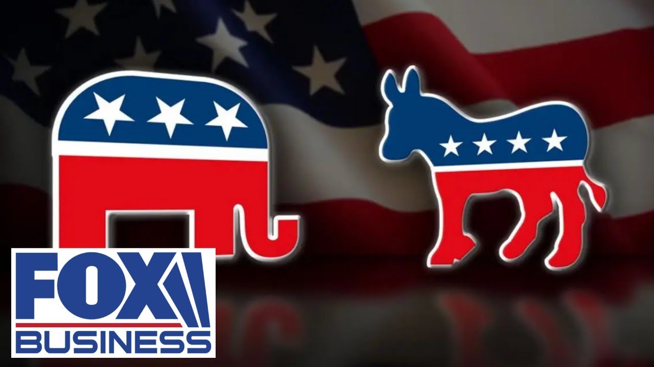 Republicans have to 'get the ballots in the box': GOP lawmaker