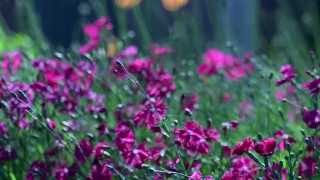 Breaking Point - Promise Keeper