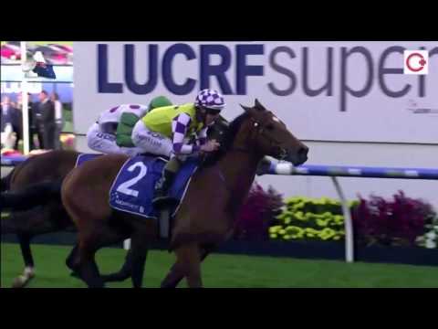 2016滿利谷瓶(G2)