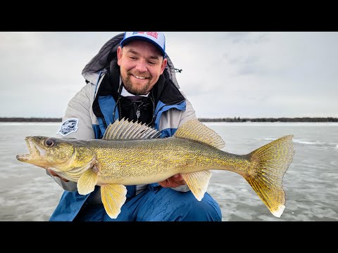 Upper Red Lake Early Ice Fast Tip-Up Walleye - In Depth Outdoors TV S17 E3