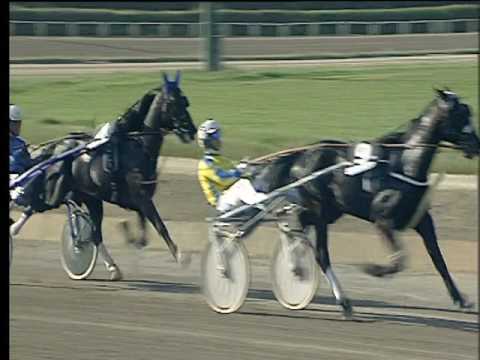 Trotto 31/03/2017 - 4ª corsa