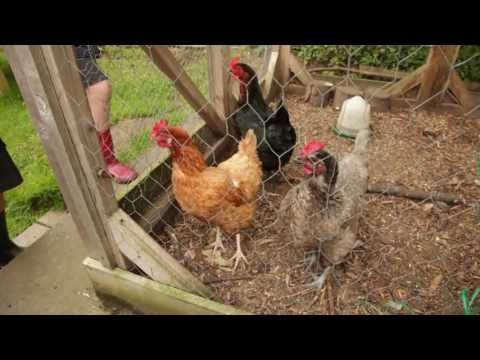 One Day One World: At School