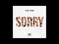 Sorry Rick Ross Chris Brown 2015 NEW Song
