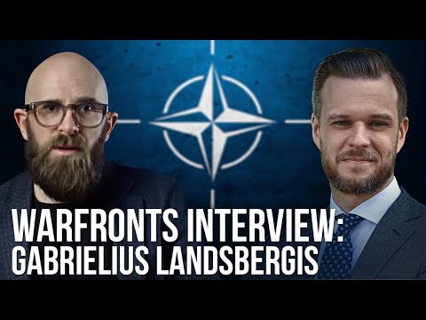 Does Europe Need a Pearl Harbor Moment? Gabrielius Landsbergis (INTERVIEW)
