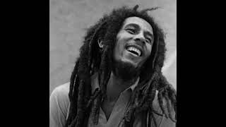 Bob Marley  - Could You Be Loved Acapella