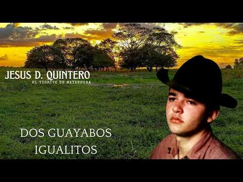 DOS GUAYABOS IGUAITOS- Jesús D. Quintero- El Tigrito de Matanegra