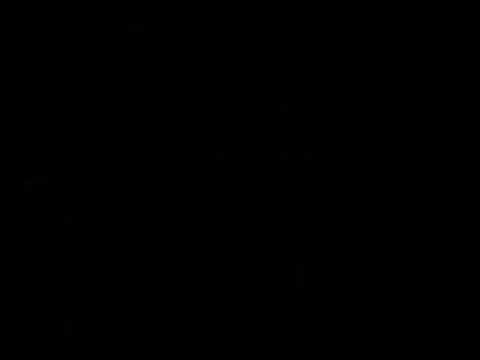 P O O K I I E_L I I G H T S!!