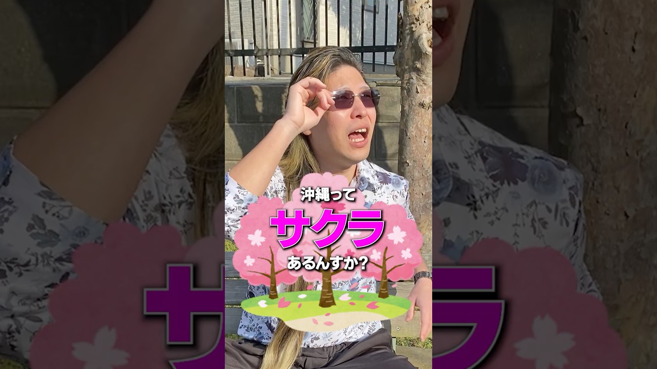 東京の桜花見vs沖縄の桜花見 #shorts #沖縄 #東京 #桜 #花見