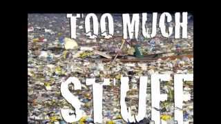 Too Much Stuff by Eric Bibb