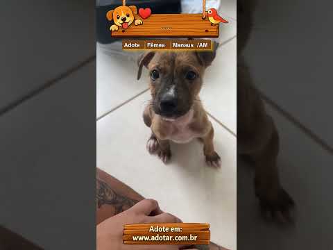 Vídeo de …..