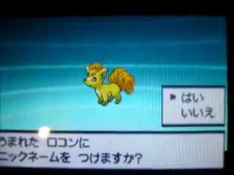 Shiny Vulpix WITHOUT drougth - 345th egg (MM)