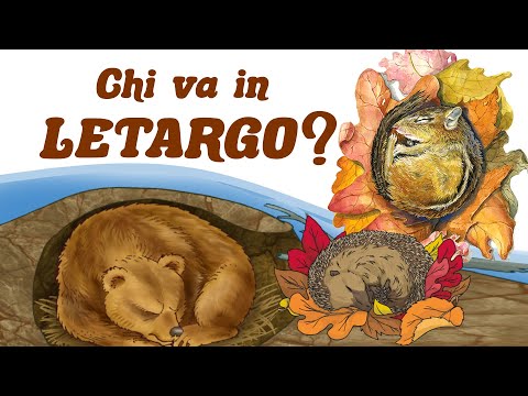 🦔🐻🦡 Cos'è il LETARGO? 😴 Quali ANIMALI vanno in LETARGO? E chi sono i più dormiglioni? 🦇🐢