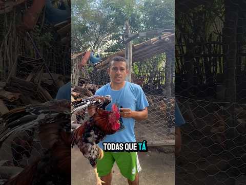 29 de abril de 2026
