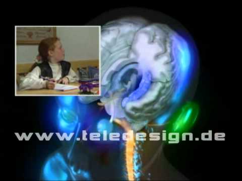 GN 022 Bewusstsein-SD PAL / GN 022  awareness and memory-SD PAL