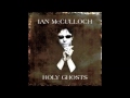 Ian McCulloch - Holy Ghosts (Full Albums)
