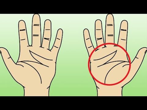 Die Bearbeitung des Bades bei gribke der Nägel Wieviel wird gribok des Nagels auf der Hand behandelt