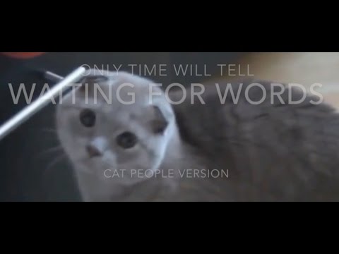 Waiting For Words - Only Time Will Tell (Cat people version)