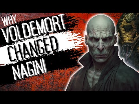 Why Voldemort Turned Nagini Into A Horcrux