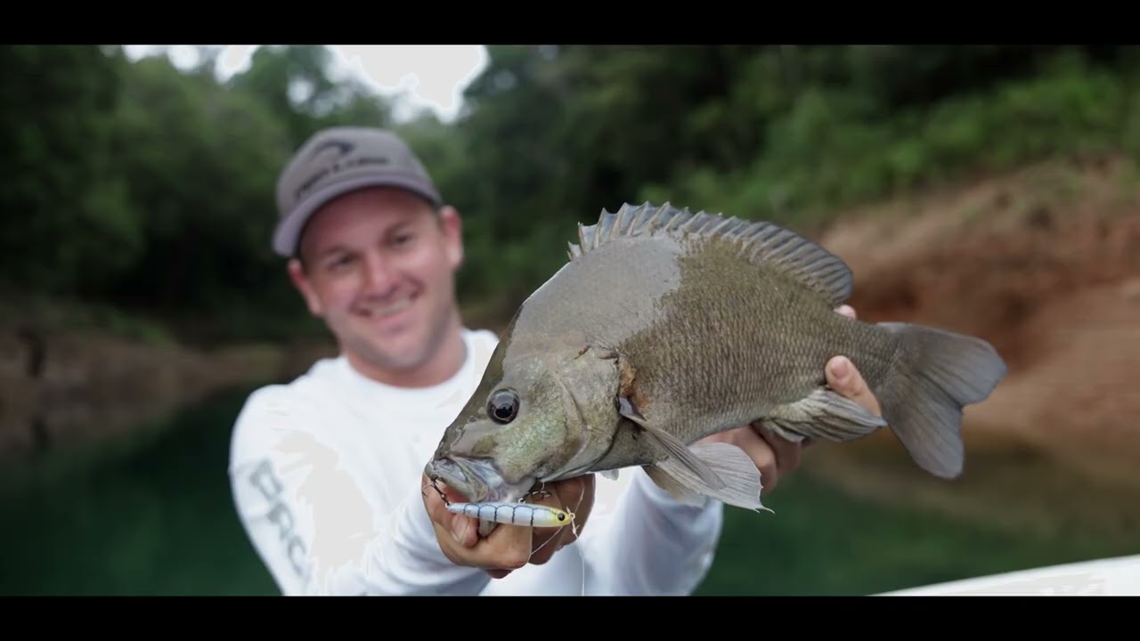 Prolure SF62 Floating 62mm Pencil Lure video thumbnail