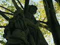 Through 800 Cherries Fan Made Music Video