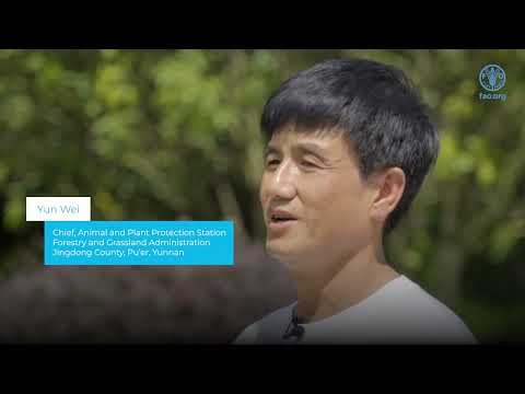 A New Green Line: One Strategy for One River in Biodiversity Conservation