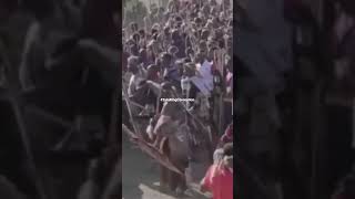 King Misizulu Kaswelithini of the Zulu Nation #coronation #kzn #zulunation #2022 #forcentertainment