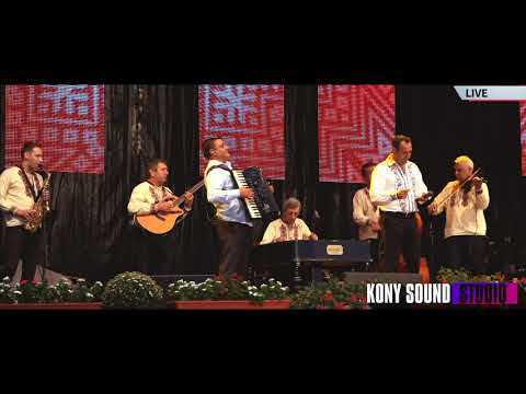 Cornel Oprea - Pe-o cumpana de fantana ( LIVE 100% )