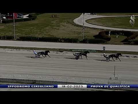 Aversa trotto 18 Febbraio 2023 - Prova di qualifica