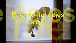 Pero no me dejes   Los Yonics