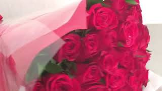 Ramo de 50 Rosas Rojas | Rosas Rojas | Ramos de Rosas