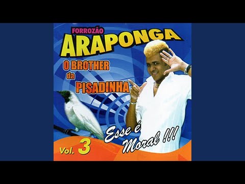 Na Onda da Pisadinha