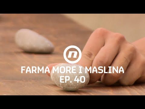 Farmeri su rekli svoje - Epizoda 40 | Farma More i Maslina