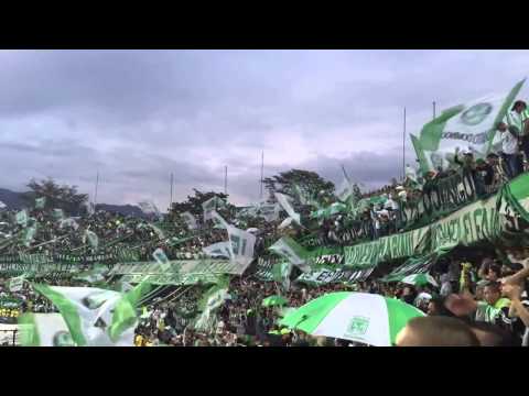 "Nacional  vs   Cortuluá â™ªâ™« Te Quiero Como Ami Vieja   ( La Banda  Los del Sur )" Barra: Los del Sur • Club: Atlético Nacional