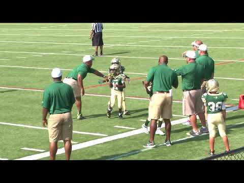 Grayson AS (Fowler) vs. Brookwood AS (Daniels) - 8U |8.25.18| Bethesda Park - Lawrenceville, Georgia