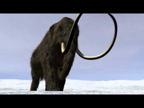 Woolly Mammoth
