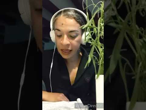 Chronique Judiciaire 2