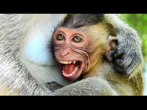 million pieces of heart drop on earth, Why Elino cry seriously like this, Sadness baby , Poor baby 1