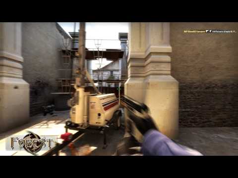 Forest vs Hellraisers [Ace] @ Dreamhack Winter 2014