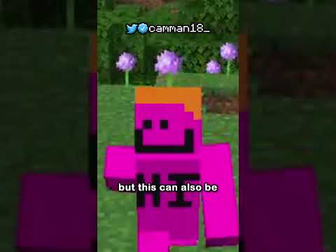 the item frame has  a dark secret...